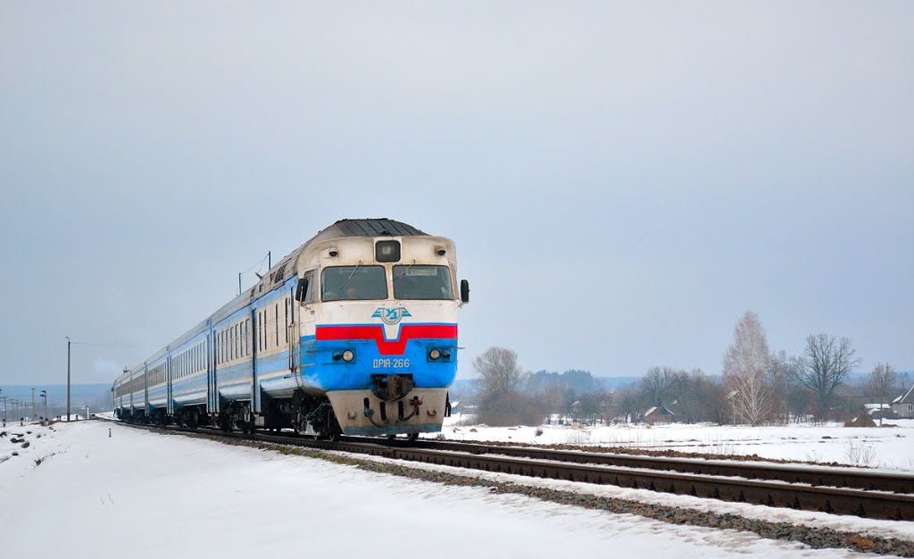 Дизель-поезд ДР1А-266, перегон Толкачевский - Овруч, Овруч