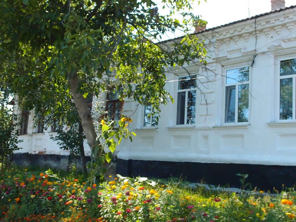 старовинний будинок, Радомышль