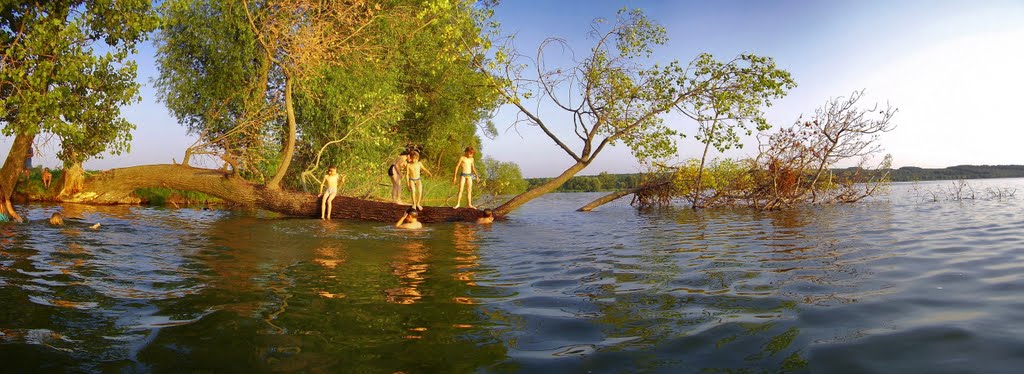 Панорама (дерево в озере) с 5-ти фото с 5-ти фото, Ружин