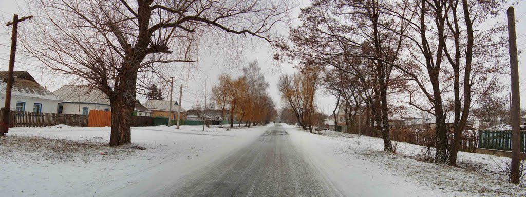 P1250135 Panorama с 4 фото (25.01.2011), Ружин