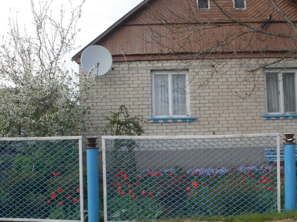 Дом семьи Вовк, Черняхов