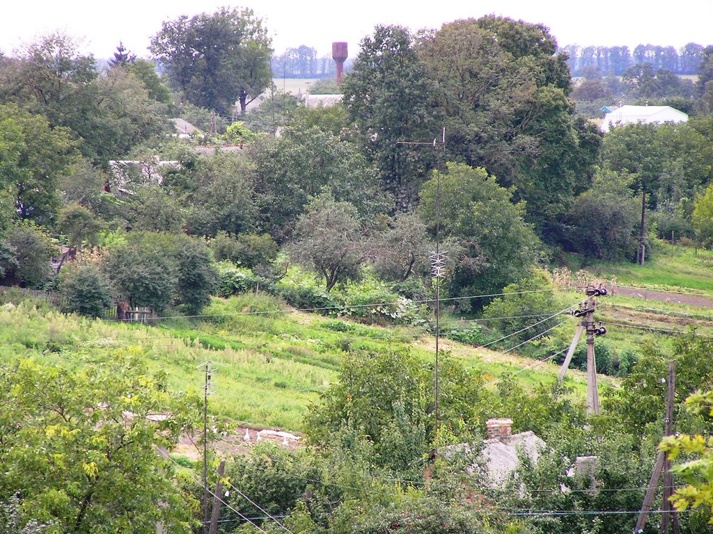 Поляковий горб, Чуднов