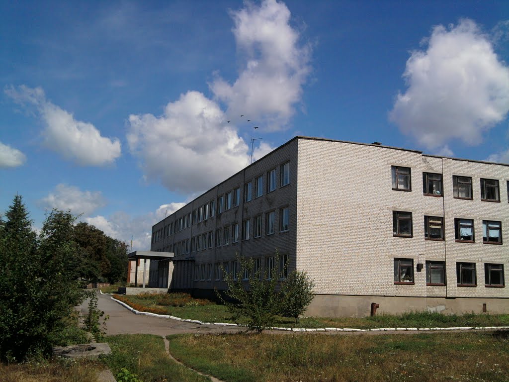 Чудновская гимназия (средняя школа), Чуднов