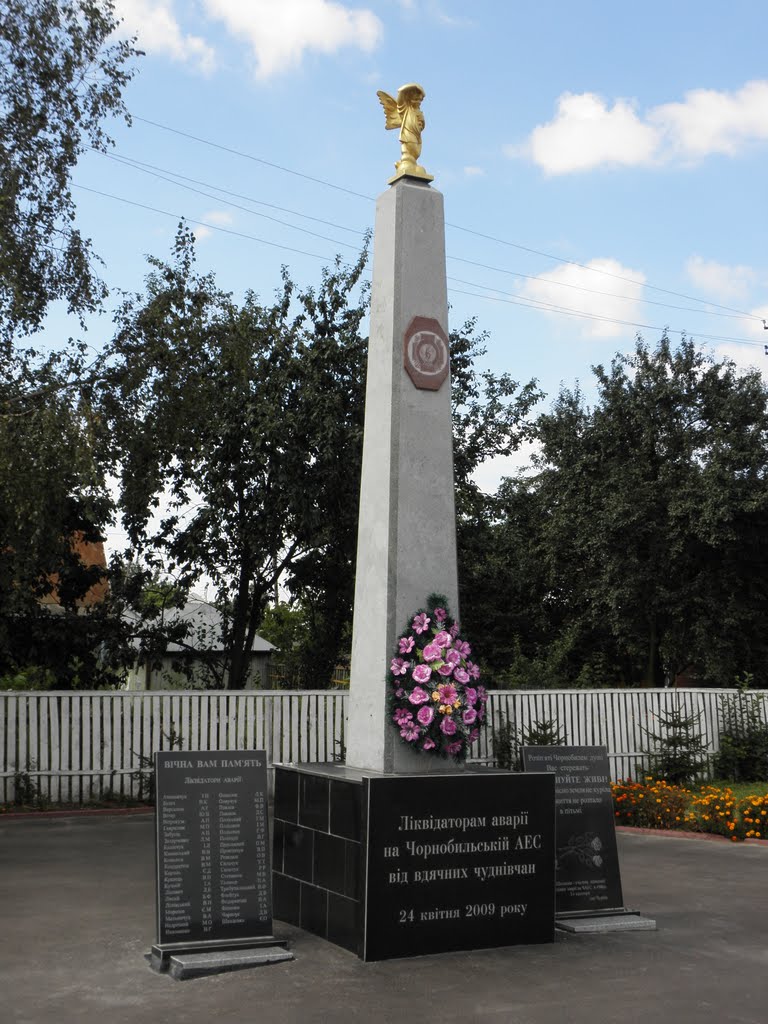 Памятник ликвидаторам на Чернобольской АЭС от благодарных чудновчан, Чуднов