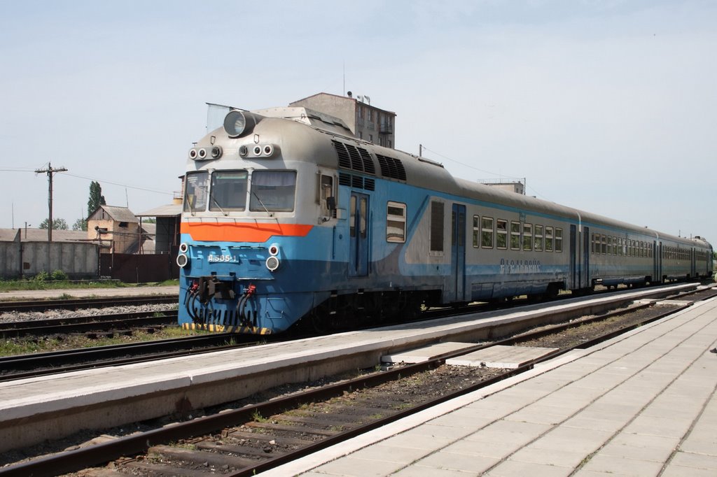Train, Берегово