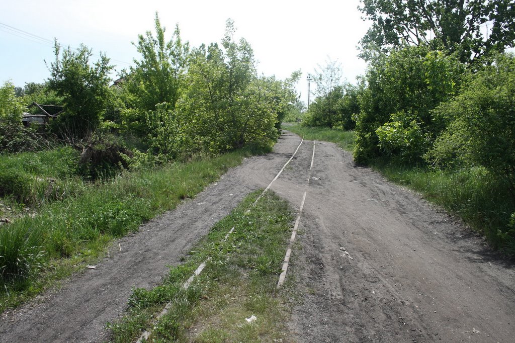 Remains of Narrow Gage Railway, Берегово