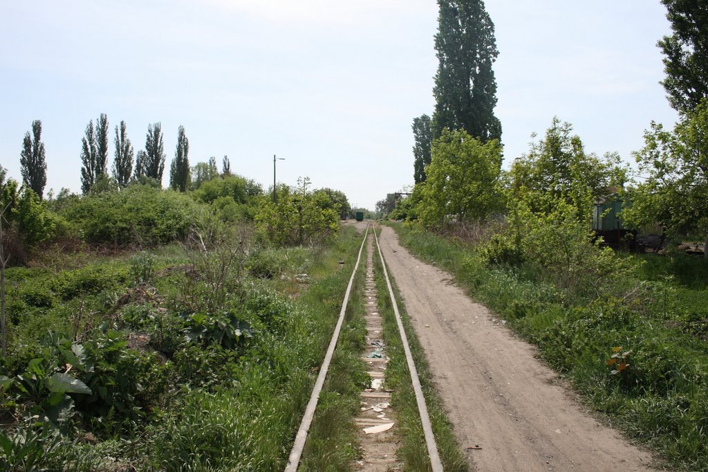 Narrow Gage Railway, Берегово