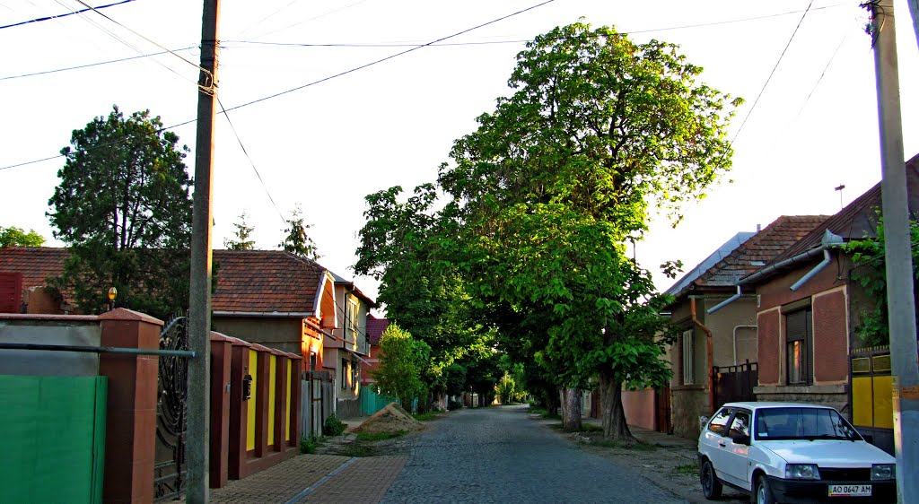Улица Шевченко в Берегово., Берегово