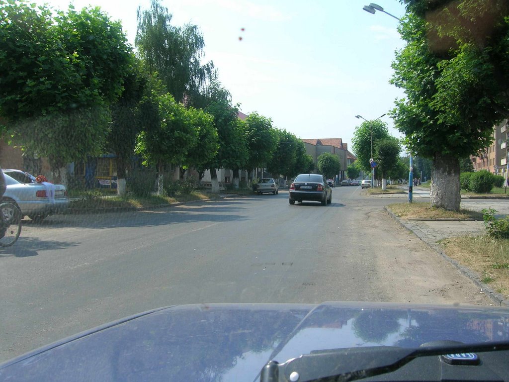 Velikiy Bereznyy. Shevchenko str. (central street), Великий Березный