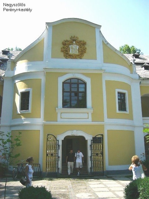 Nagyszőlős, Perényi-kastély/Perényi castle, Виноградов