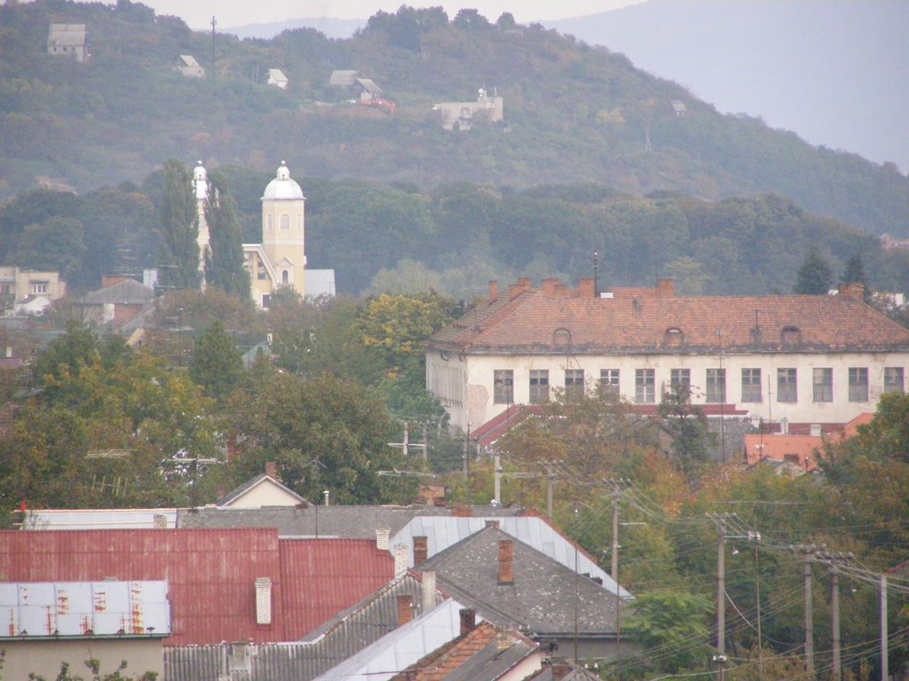 Отзыв о Экскурсия по г. Виноградов (Украина, Закарпатская область) Очень красивы