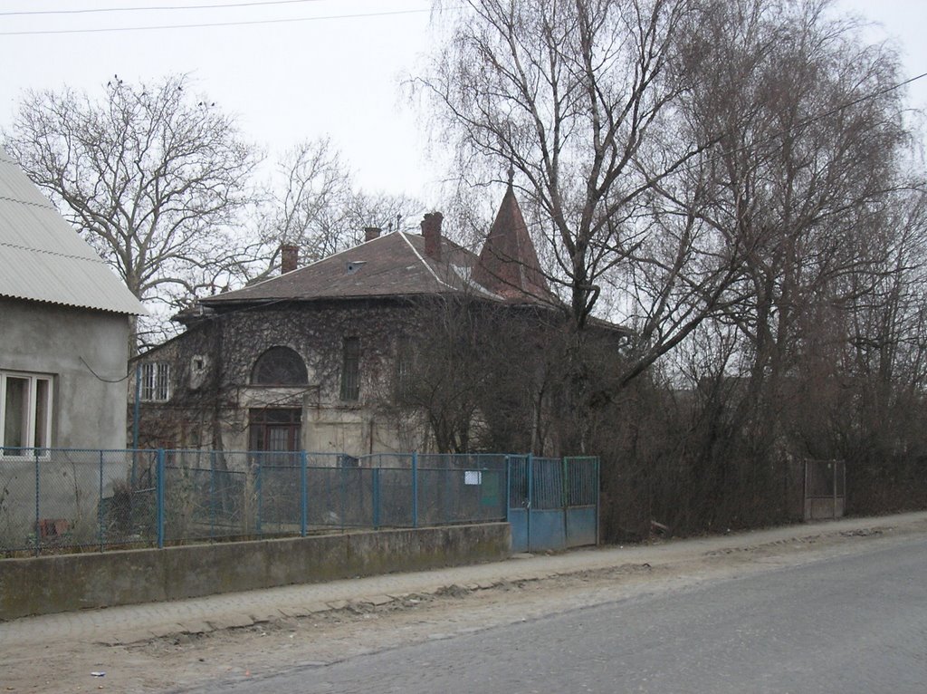 Мрачний дом, Виноградов