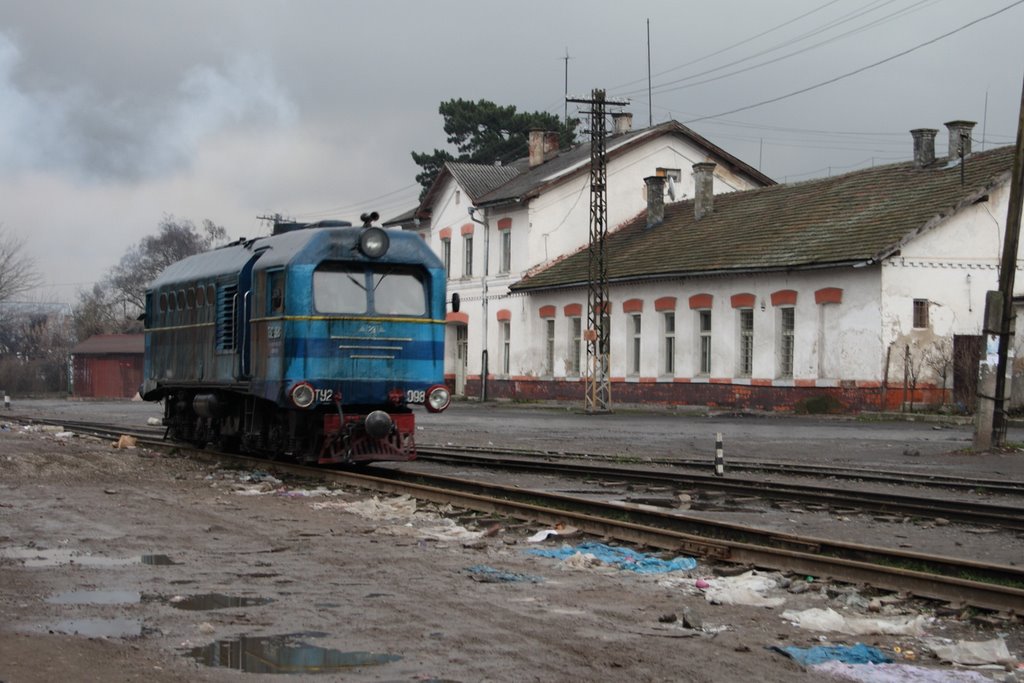 Narrow gauge locomotive, Виноградов