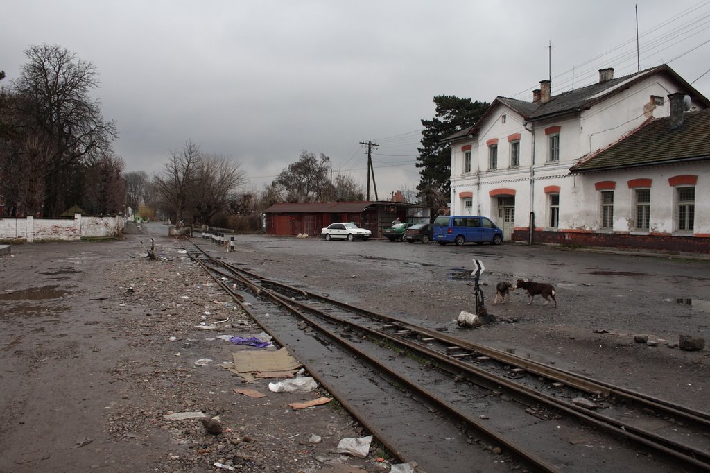 Narrow gauge railway, Виноградов