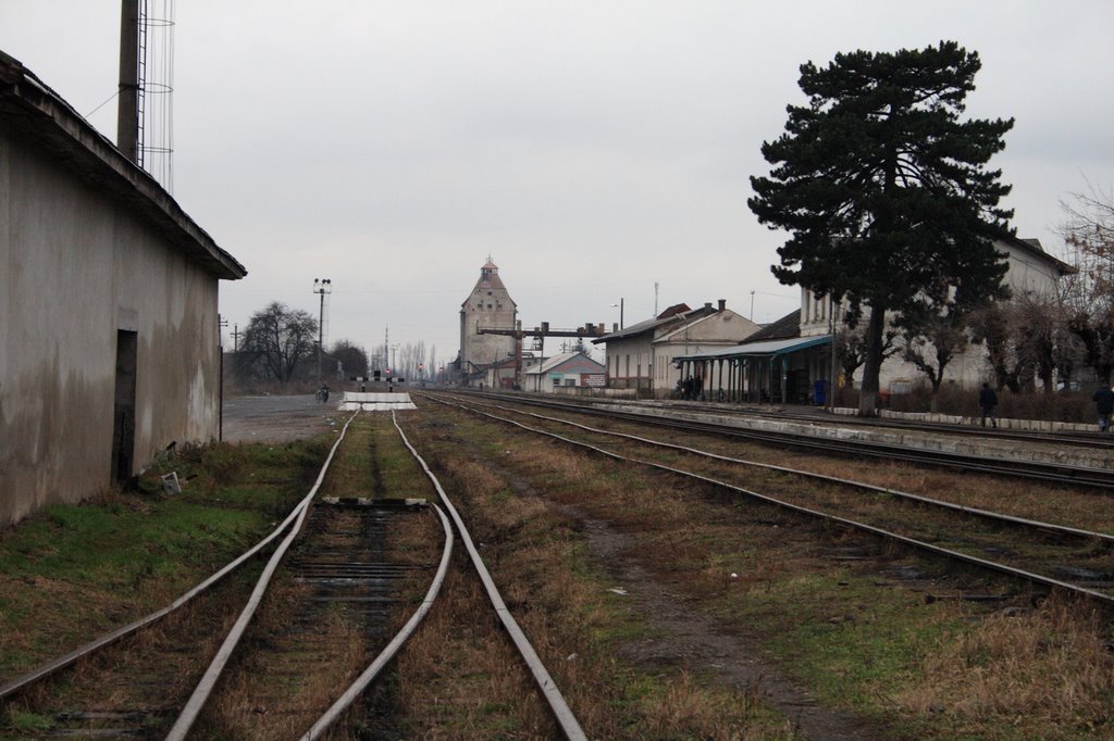 Vynohradiv rail station, Виноградов