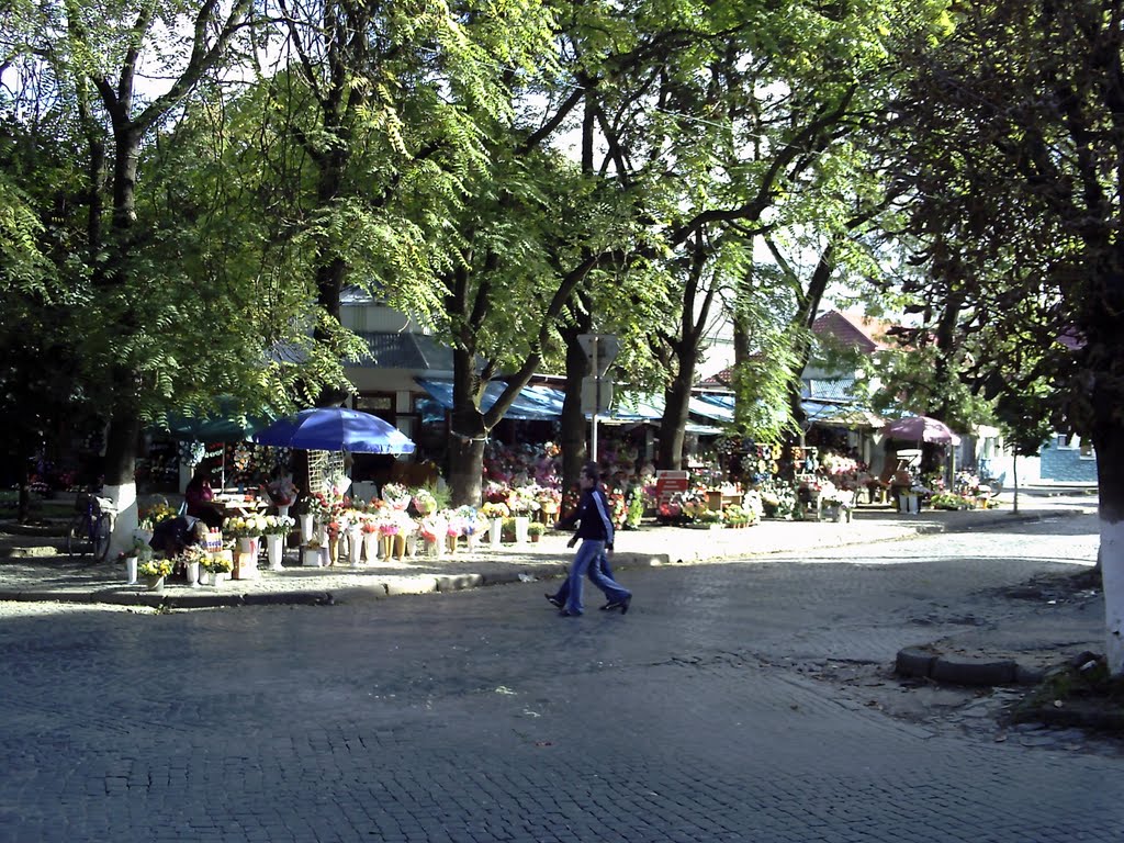 Замок Канков (Угочанский), Виноградов, Украина - туристические достопримечательн