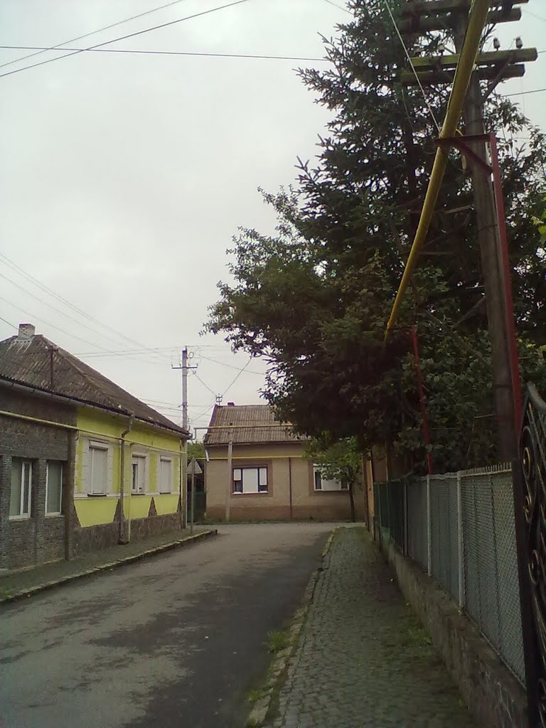 street, Виноградов