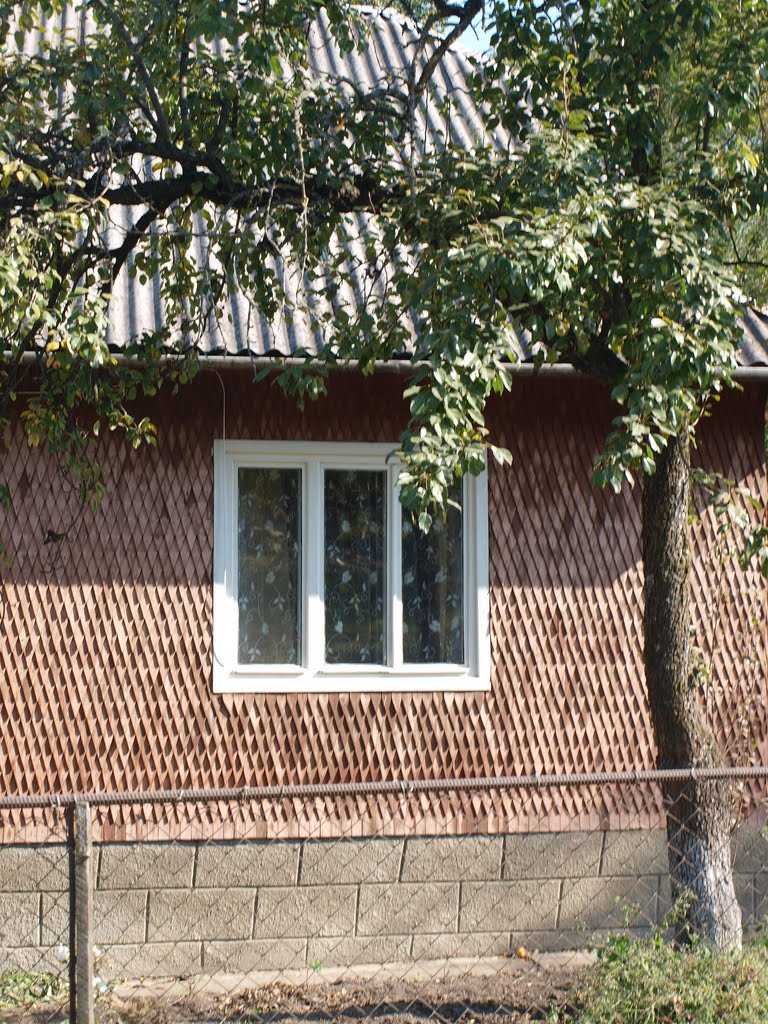 Дом с "чешуей" / A house with "scales", Воловец