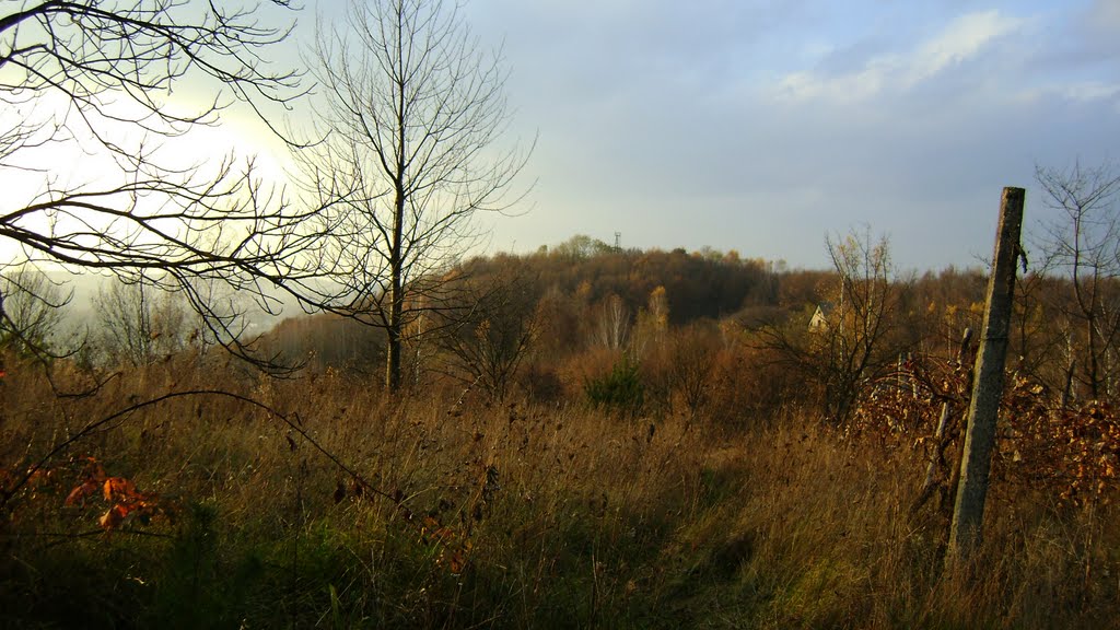 Іршава 027, Irshava 027 (Осінній пейзаж. Вид на Вишку), Иршава
