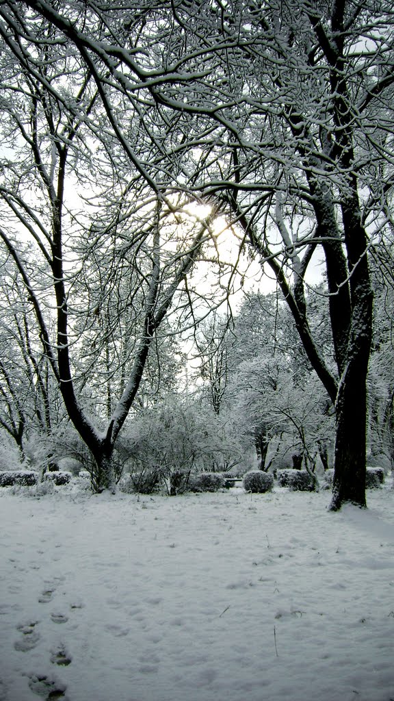 Зимовий Парк, Иршава