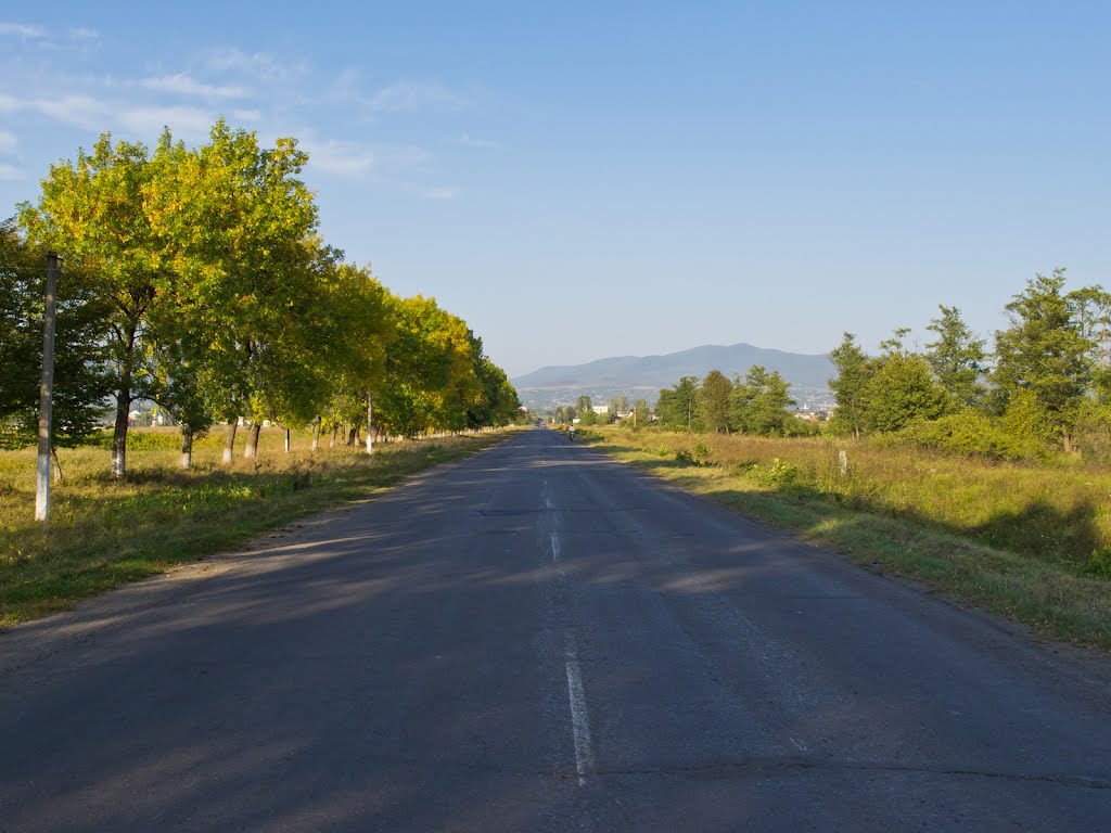Road from Irshava to Ilnitsya, Иршава