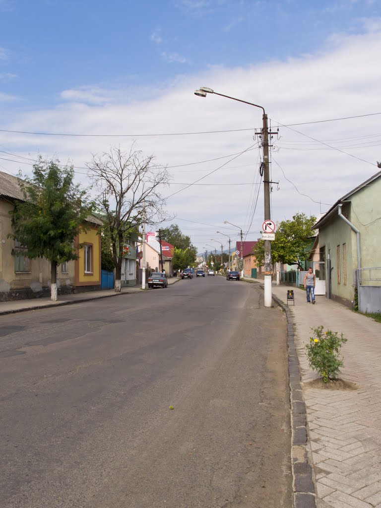 Streets of Irshava, Иршава