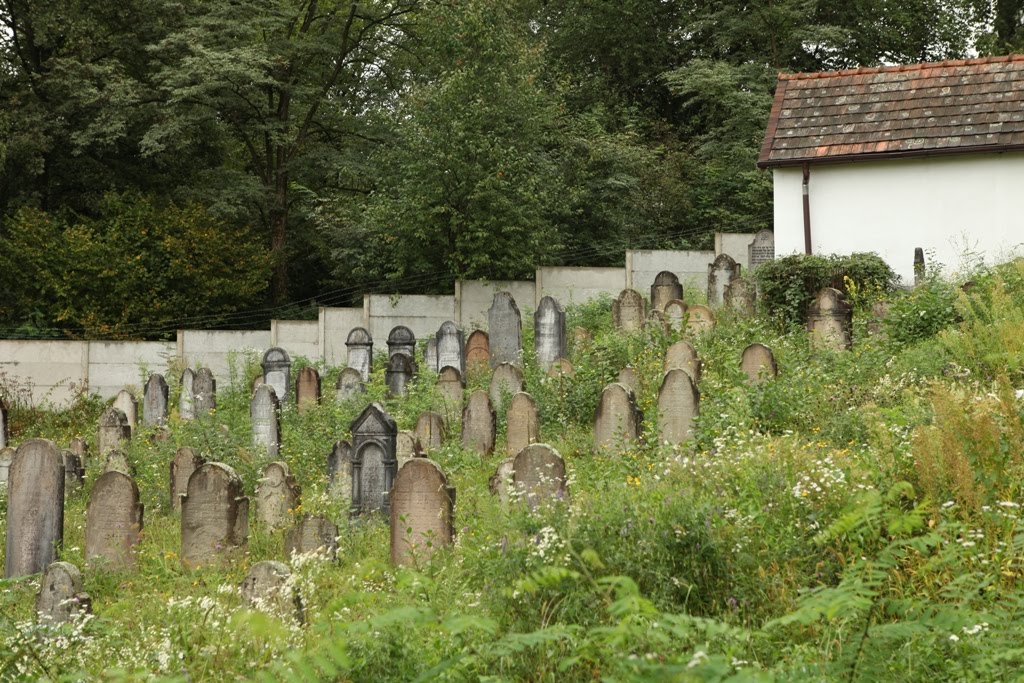 Jewish cemetery in Irshava, Иршава