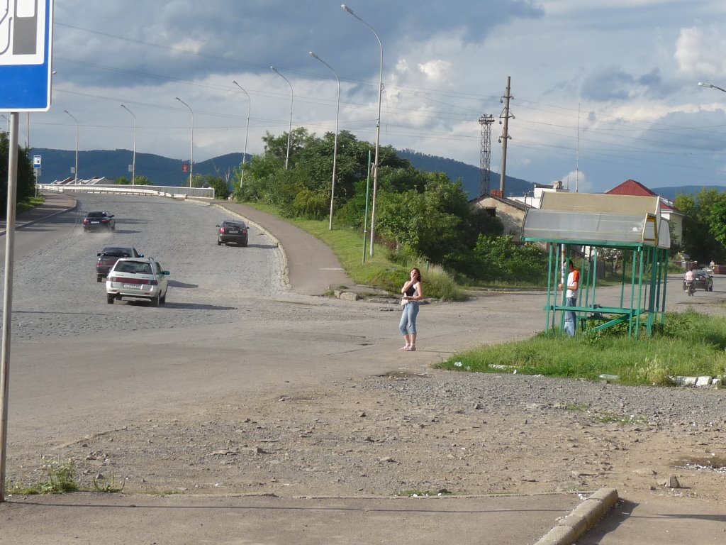 Берегівський шляхопровід, зупинка маршрутки МРЕВ ДАІ (колишня "Райсільгосптехніка"), Мукачево