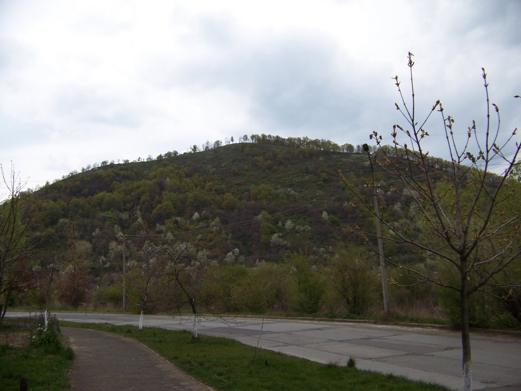 Гора Ловачка 1, Мукачево