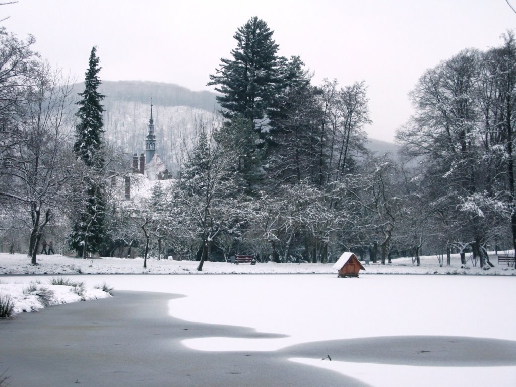 Winter lake of Shenborn castle, Мукачево