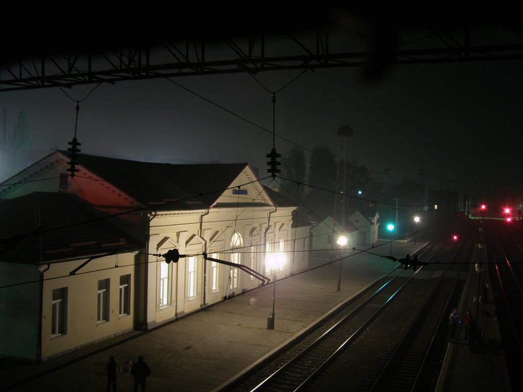 ЖД Вокзал ночью в лёгком тумане, Свалява