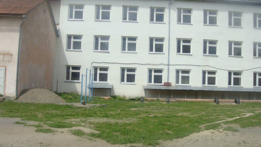 Svalyava school, Свалява