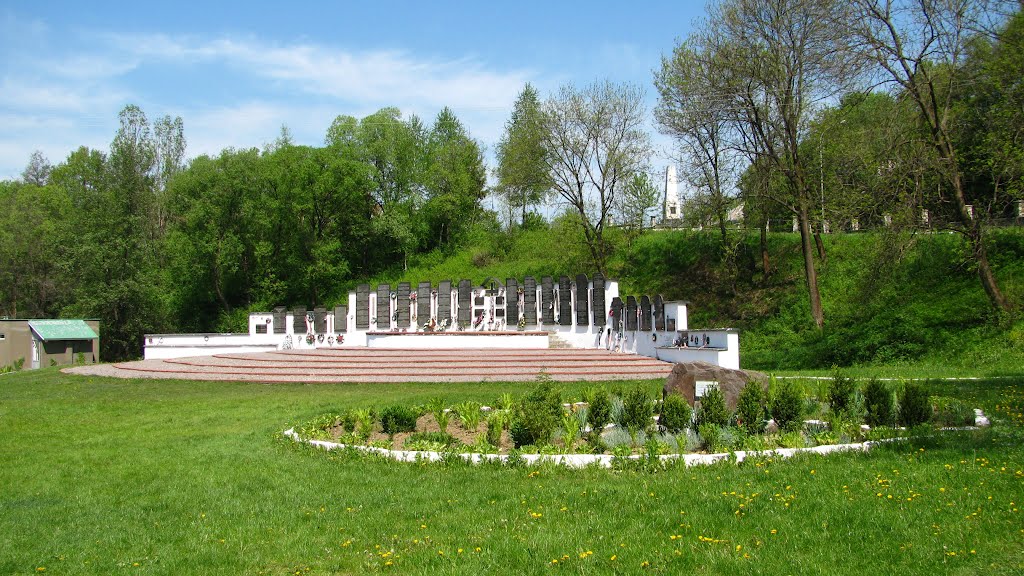 Elhurcoltak szolyvai emlékparkja (Свалявський меморіальний парк), Свалява