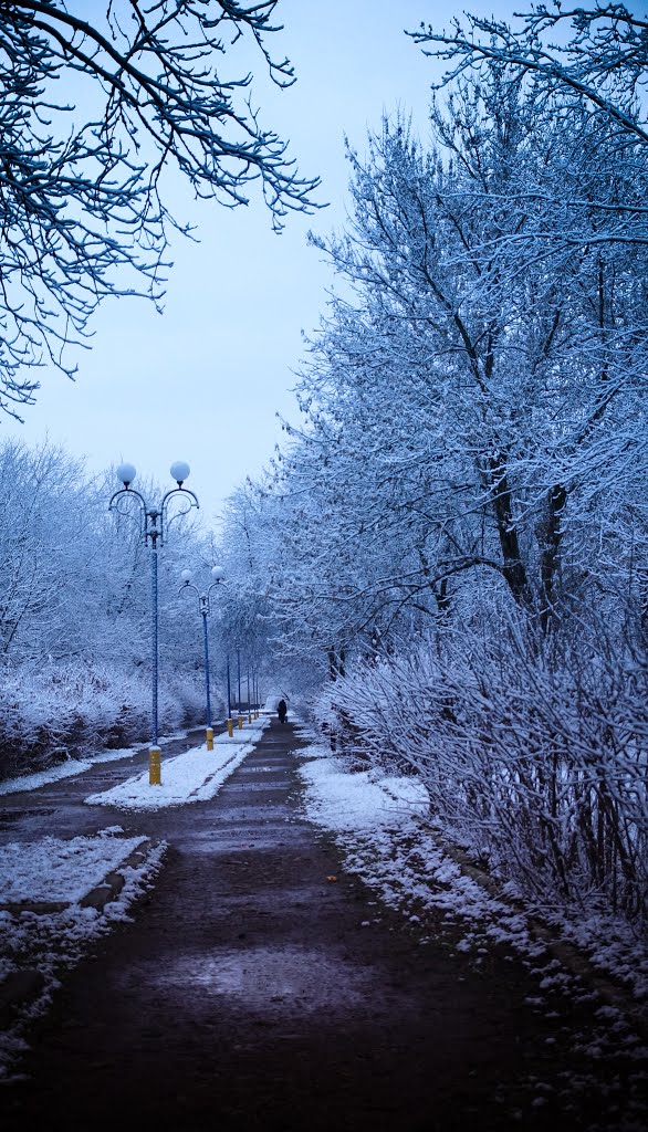 сніжок в парку, Тячев