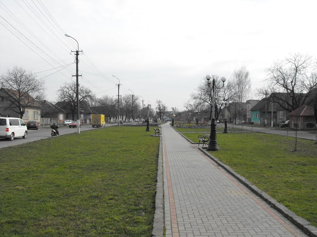 Парк, Тячів, 2014, Тячев