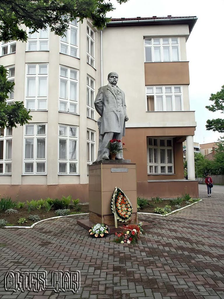 Памятник Т.Шевченко., Тячев