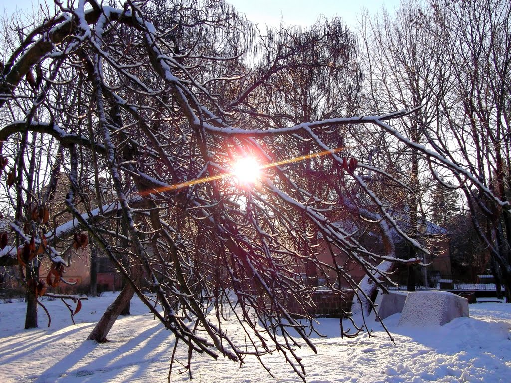 Зима пришла (21.01.2012), Ужгород