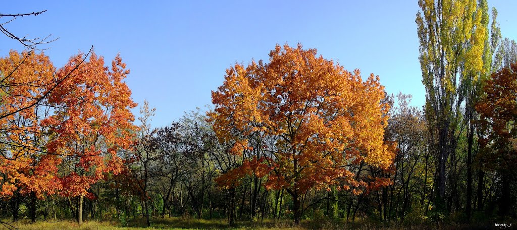 Панорама в парке, Ужгород