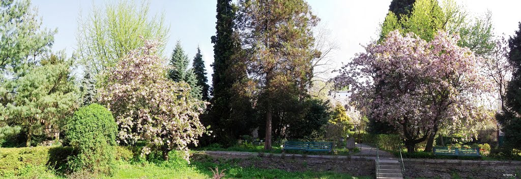Ботанический сад, Ужгород