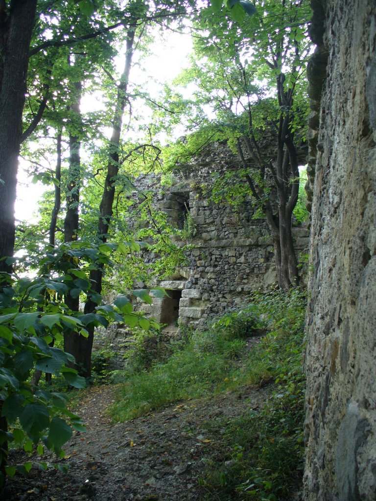 Замкові стіни, Хуст