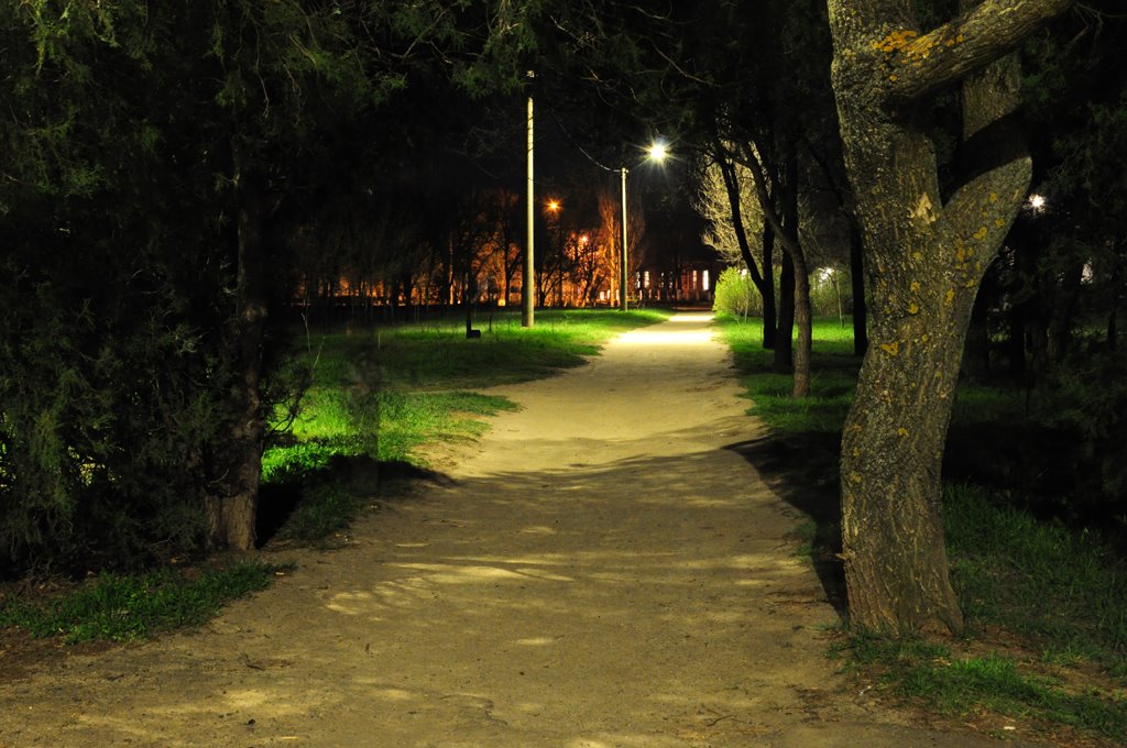 Парк ночью, Акимовка