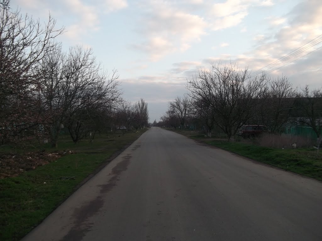 долгая дорога по улице революции, Акимовка