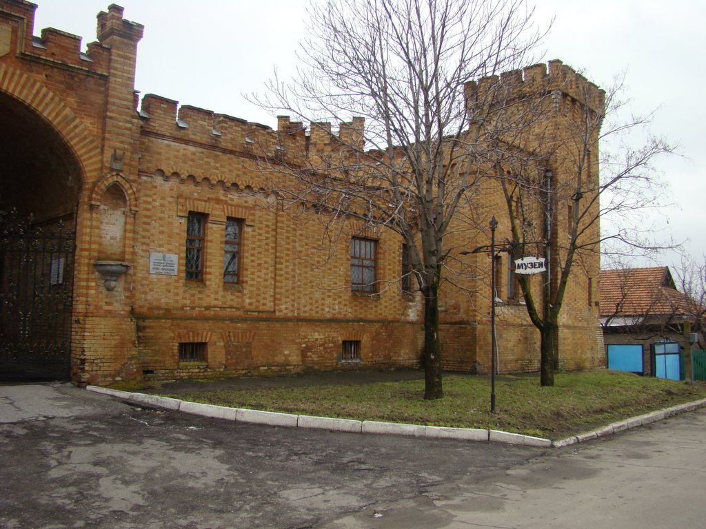 Замок Попова, Васильевка