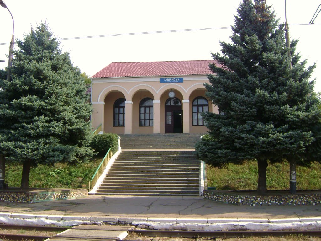 Станция Таврическ, Васильевка