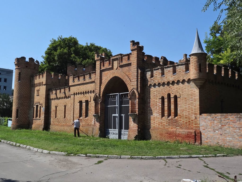 Северные ворота замка, Васильевка
