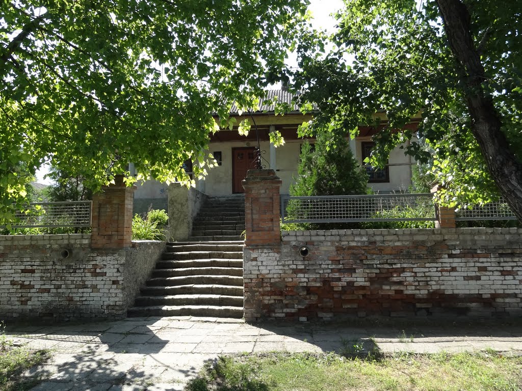Старые здания имения Поповых, Васильевка