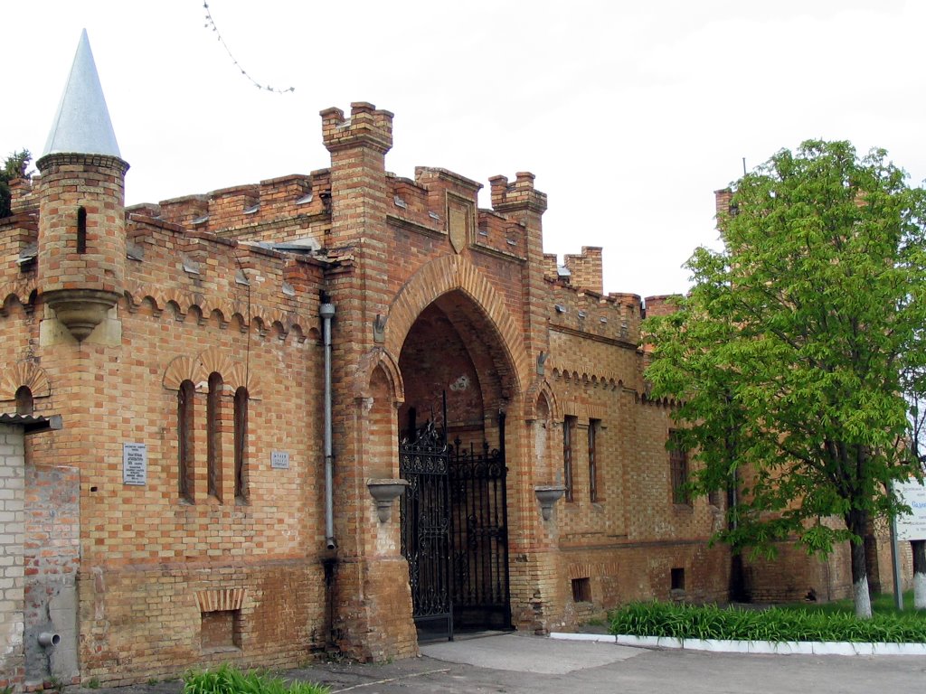 Popovs castle, Васильевка