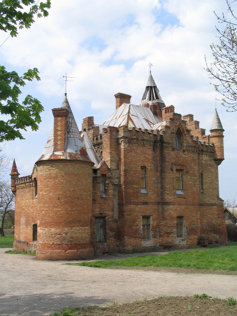 Popovs castle. Inside, Васильевка