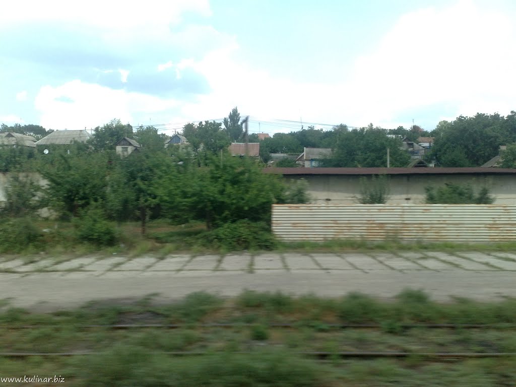 С поезда, Васильевка
