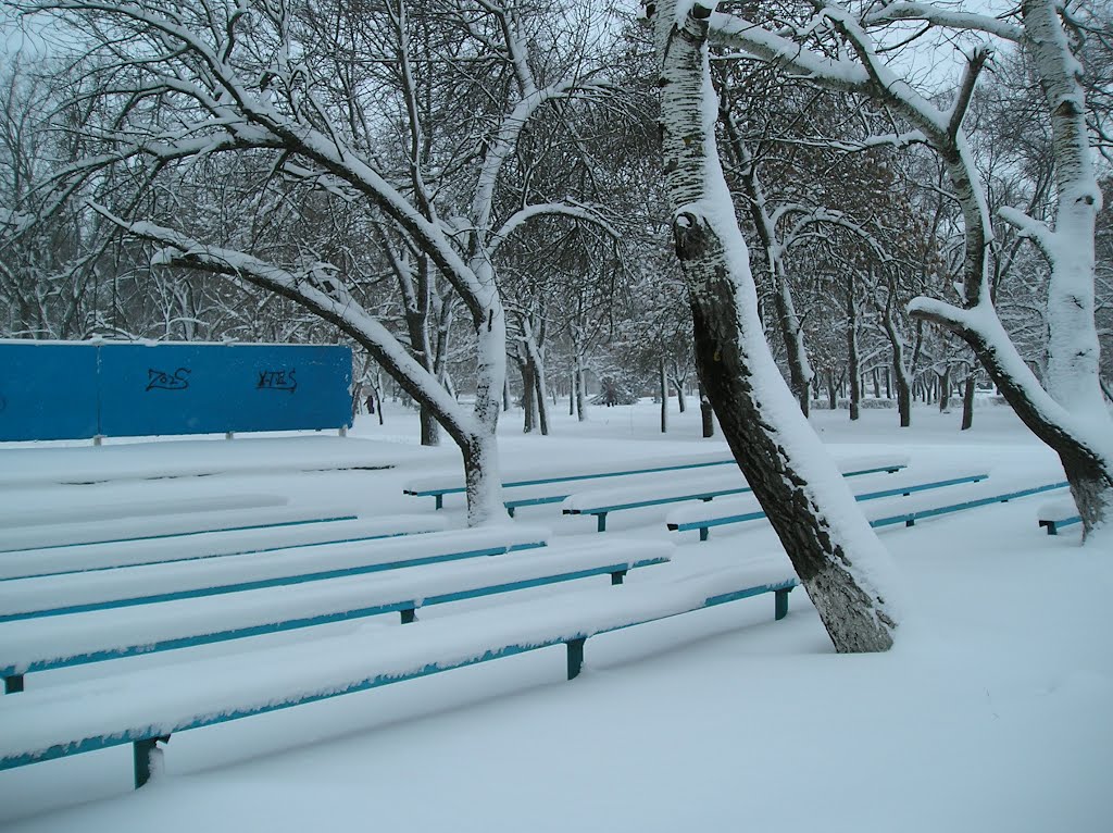 Парк зимой, Веселое